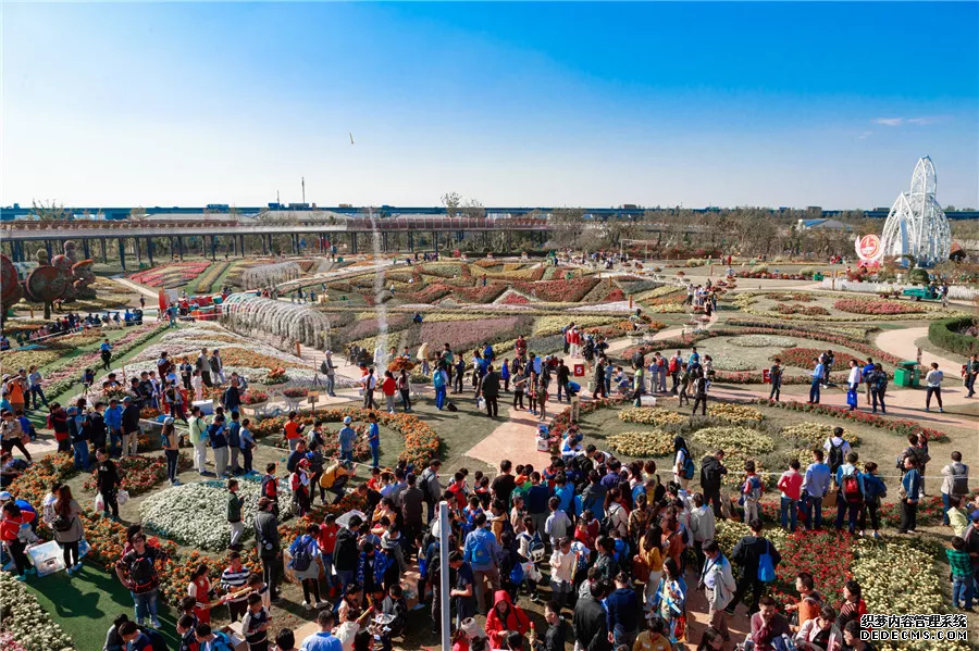 第十屆上海模型節精彩(圖5)