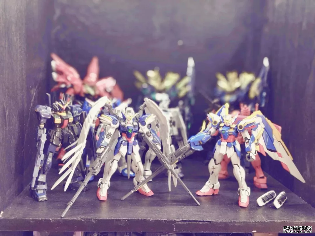 【記錄】魔都上海的模型（xíng）俱樂部！熊模屋大升級(圖5)