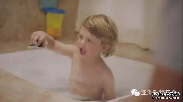 動物模型（xíng）公司下架暢銷十年的虎鯨泡澡玩（wán）具，因(圖1)