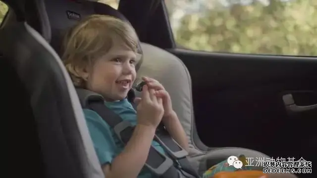 動物（wù）模型公司下架暢（chàng）銷十年的虎鯨泡澡（zǎo）玩具，因(圖3)