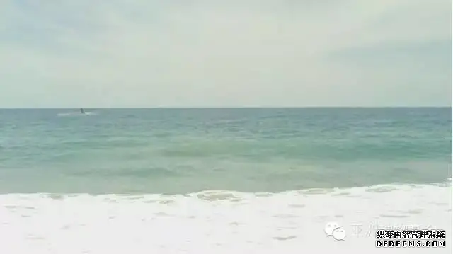 動物模型公（gōng）司下（xià）架暢銷十年的虎鯨泡澡玩具，因(圖9)