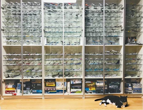 厲害了!飛機模型收藏者:我有兩千架飛機(圖(tú)1) 厲害了(le)!飛機模型收(shōu)藏者:我有兩千架飛機(jī)(圖1)