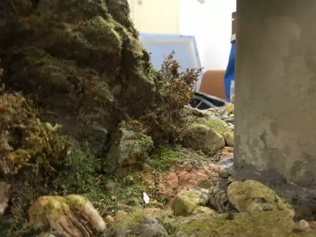 模型記錄:他們將模型場景定格在(zài)中國高鐵“複(圖14) 模型記錄:他們將模型場景定格在中國高鐵“複(圖14)