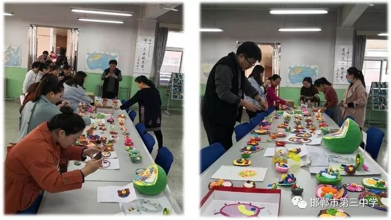 用細胞模型這把鑰匙，打開生命奧秘之門--記三中(圖1)